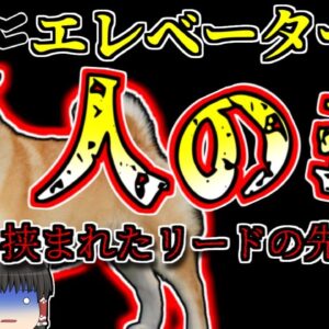 【2006年東京】エレベーターから飛び出した犬 リードが繋がったままドアが閉まり上昇し、飼い主の指が千切れる【ゆっくり解説】