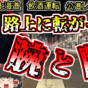 【2011年北海道】同窓会帰りの飲酒路上レース…大事故を起こし、外に投げ出された女性【ゆっくり解説】