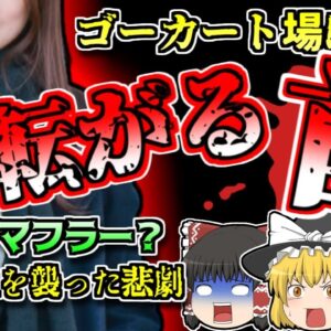 【2013年トルコ】コースに転がる女子大生の首…彼女はマフラーで首を跳ねられていた？【ゆっくり解説】