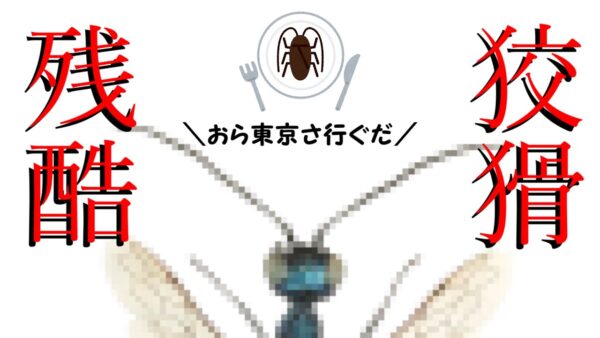 【ゆっくり解説】#33 ゴキブリを狩るハチが東京にやって来た！！Gの巣窟大都会の救世主となるか？