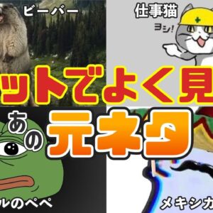 【生き物系】あの有名なネットミームの元ネタ6選 パート2