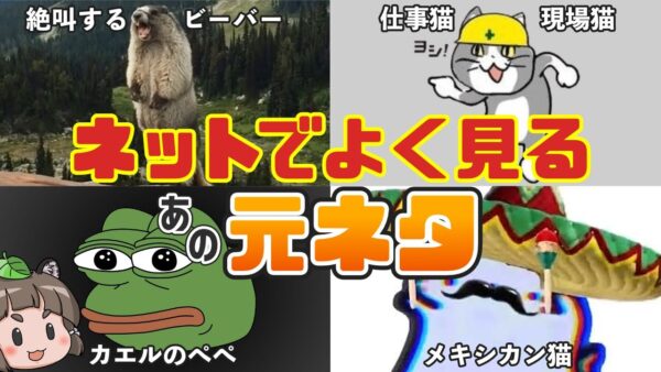【生き物系】あの有名なネットミームの元ネタ6選 パート2