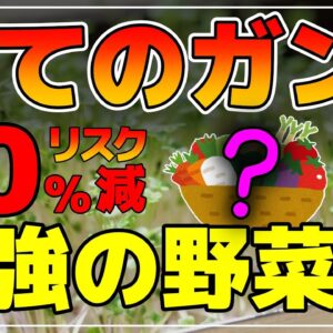 【ゆっくり解説】胃がんのリスクが88％減少！？最強の野菜！そのヤバい効果は食べるサプリ！