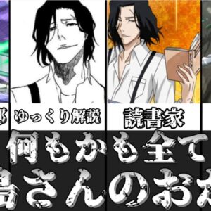 【ゆっくり解説】全部、月島さんのおかげ 月島秀九郎【BLEACH】