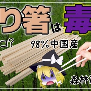 【ゆっくり解説】割りばしは危険？森林破壊？実はよく知らない割り箸！SDGsに貢献していた！