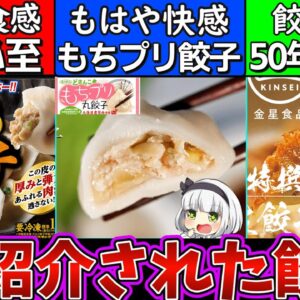 【ゆっくり解説】マツコも絶賛！TVで紹介された取り寄せ絶品餃子3選解説！