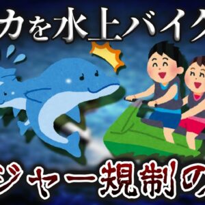 【モラル崩壊】イルカを水上バイクで追い回す！？問われるレジャーの利用者マナー