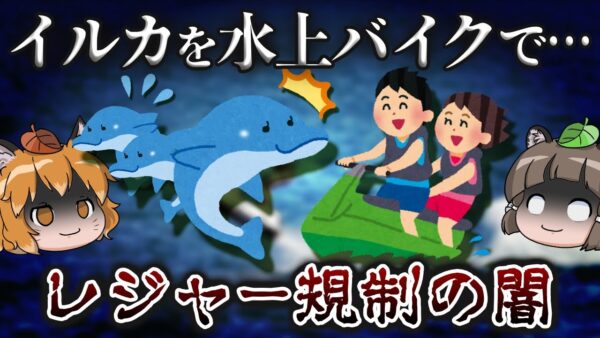【モラル崩壊】イルカを水上バイクで追い回す！？問われるレジャーの利用者マナー