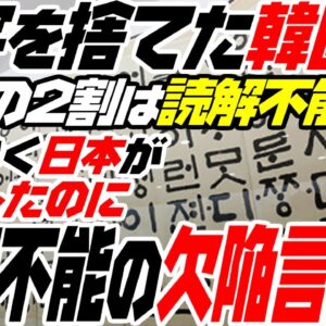 韓国語ハングル、大人でも読解不能な欠陥言語な模様【ニュース】【ゆっくり解説】