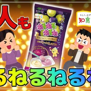 【ゆっくり解説】ついに発売！大人がターゲットの知育菓子「大人のねるねるねるね」おすすめ知育菓子も