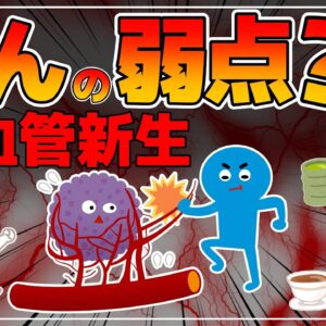 【ゆっくり解説】がんの弱点！がんの成長や転移を防ぐ食べ物と飲み物！血管新生への阻害効果