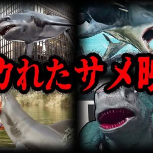 鮫なのに泳がない！？馬鹿げているサメ映画７選【ゆっくり解説】