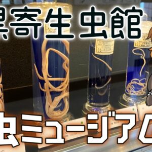 【目黒寄生虫館】世界有数の寄生虫博物館！？あんな寄生生物までいるなんて…