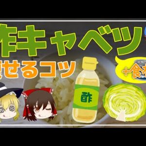 【ゆっくり解説】酢キャベツにダイエット効果はない！？マズいから続かない！痩せない原因を徹底解説