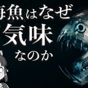 【疑問】深海魚はなぜ不気味なのか？