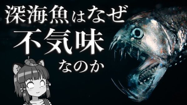【疑問】深海魚はなぜ不気味なのか？