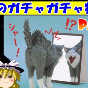 【おもしろゆっくり】大人も夢中になる楽しさ！魅惑のガチャガチャ特集！その⑤