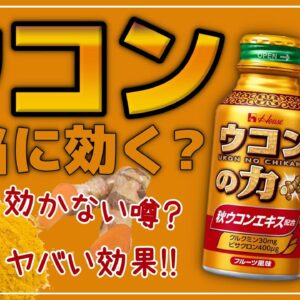【ゆっくり解説】ウコンは二日酔いに本当に効く？ウコンを飲むとおこる体の変化について