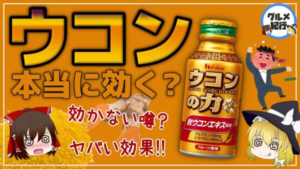 【ゆっくり解説】ウコンは二日酔いに本当に効く？ウコンを飲むとおこる体の変化について