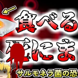 【2010年秋田】実は気を付けなければいけない卵の保管方法 真夏のキャンプ旅行をしていた一家を襲った地獄・・・「サルモネラ菌食中毒」【ゆっくり解説】