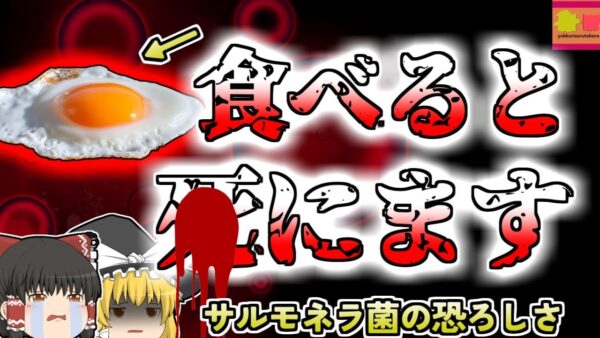 【2010年秋田】実は気を付けなければいけない卵の保管方法 真夏のキャンプ旅行をしていた一家を襲った地獄・・・「サルモネラ菌食中毒」【ゆっくり解説】