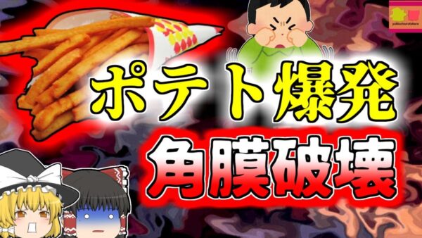 【2011年長野】思い出のあの料理を再現していた時の悲劇 揚げ物が爆発する危険 【ゆっくり解説】