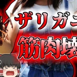 【2016年中国】体が溶け始める謎の病『Haff病』 原因は「ザリガニ」⁈ 【ゆっくり解説】