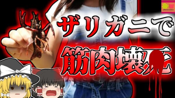 【2016年中国】体が溶け始める謎の病『Haff病』 原因は「ザリガニ」⁈ 【ゆっくり解説】