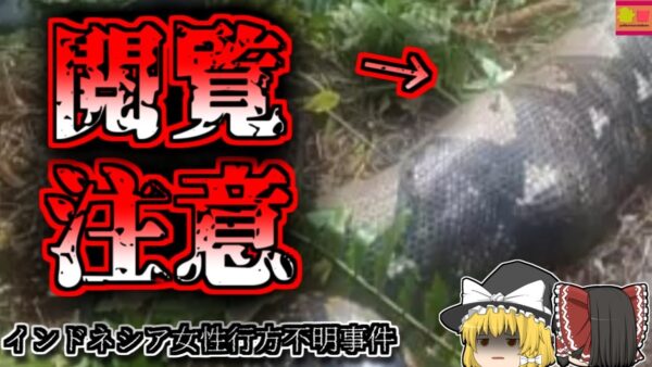 【2022年ｲﾝﾄﾞﾈｼｱ】行方不明になっていた女性 捜索中に意外なところから発見される「インドネシア大蛇丸呑み事件」