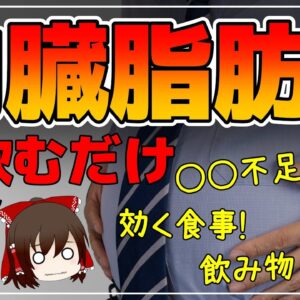 【ゆっくり解説】内臓脂肪を落とす！40代50代でも減らす方法まとめ総集編【ゆっくりグルメ紀行】