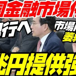 韓国政府、5大銀行に凍り付いた金融市場へ市場提供を半強制【ゆっくり解説】