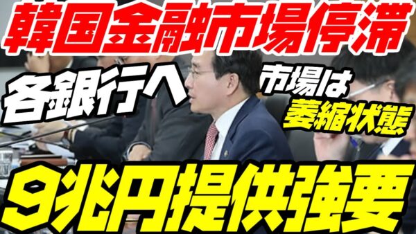韓国政府、5大銀行に凍り付いた金融市場へ市場提供を半強制【ゆっくり解説】