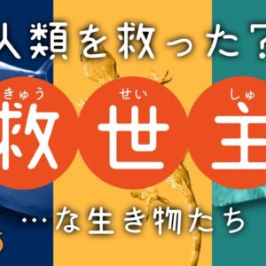 【感謝】人類の救世主！？人間を助けている生き物7選