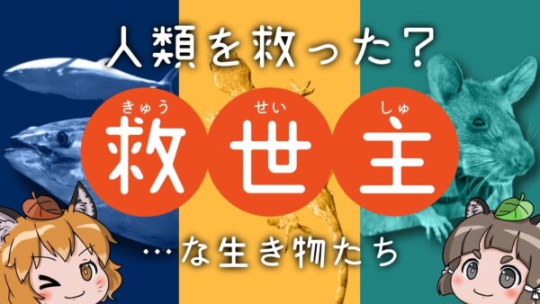 【感謝】人類の救世主！？人間を助けている生き物7選