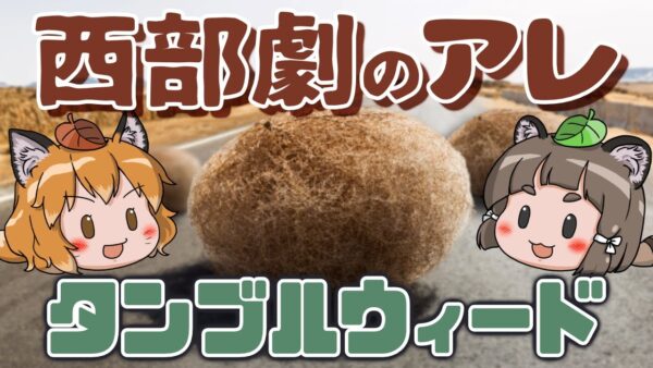 【例のアレ】西部劇で転がってるあの草！タンブルウィード【へんないきもの#89】