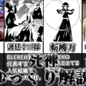 【ゆっくり解説】魂の調節者 死神【BLEACH】
