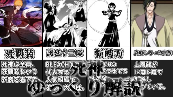 【ゆっくり解説】魂の調節者 死神【BLEACH】