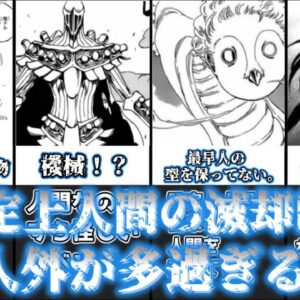 【ゆっくり解説】お前ら人間じゃねぇ！ 人外滅却師について解説【BLEACH】