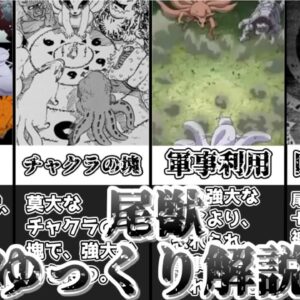 【ゆっくり解説】NARUTO世界の魔獣 尾獣【NARUTO】