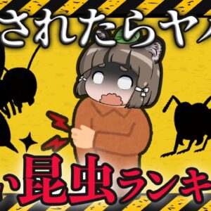 【激痛】刺されると痛い昆虫ランキングTOP10