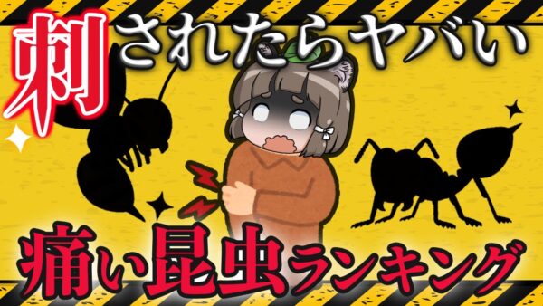 【激痛】刺されると痛い昆虫ランキングTOP10