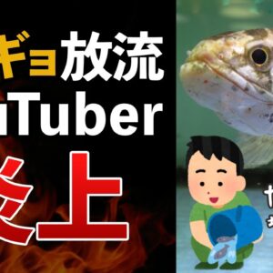 【外来種】ライギョ放流で釣りYouTuber炎上…｜違法放流と問われる釣り人のモラル