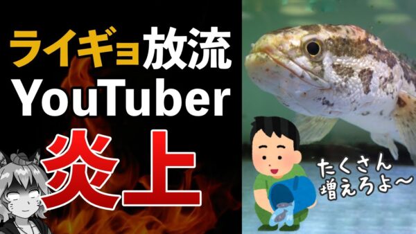 【外来種】ライギョ放流で釣りYouTuber炎上…｜違法放流と問われる釣り人のモラル