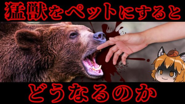 【猛獣】クマを飼っていた男の末路｜猛獣をペットにするとどうなるのか？