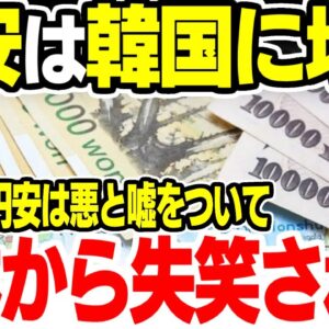 超円安が都合悪い韓国、なんとか円安が悪いと印象づけたい【ゆっくり解説】
