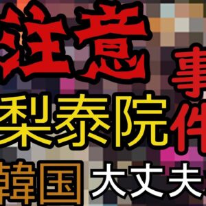 ゆっくり解説　韓国ハロウィンするも梨泰院で大事故？！動画閲覧注意