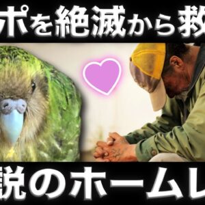 【偉業】カカポを絶滅から救った伝説のホームレスを知ってますか？