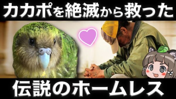 【偉業】カカポを絶滅から救った伝説のホームレスを知ってますか？