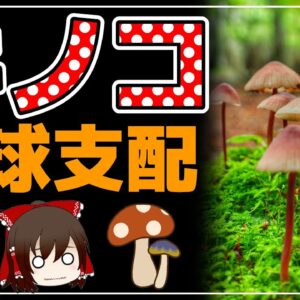 【ゆっくり解説】地球は「キノコ」に操られていた！天候や生態系まで？キノコって何者？
