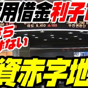 【韓国】借金投資が利子爆発して絶対稼げない地獄に【ゆっくり解説】